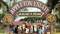 Appleton Estate Rum Tasting and YS Falls 