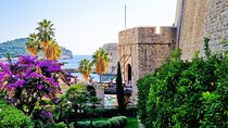 From Split/Trogir Small group tour to Dubrovnik with stop in Ston