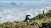 2 Days Tour to Mount Merbabu from Yogyakarta 