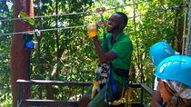 Zipline Canopy 5 in 1 Experience