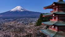 Private tour to Mount Fuji with an English driver from Tokyo