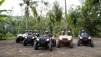 Ubud Adventure Paradise: Buggies Rafting Cycling Trekking