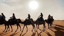 3 Days 2 nights Desert Tour from and back to Marrakech