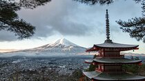 From Tokyo: Mt Fuji Full Day Private Tour 