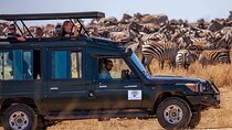 3 Days Masai Mara Wildlife Luxury Jeep Safari