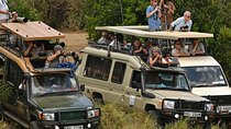 3 days Masai Mara Group joining Adventure on 4x4 Land Cruiser