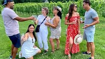 Exclusive Virginia Wine Country Day Trip Tour