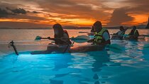 2-Hour Clear Kayak Illuminated Night Tour in Krabi