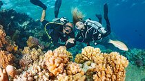 Full Day Intro Diving for Beginners With Lunch - Sharm El Sheikh
