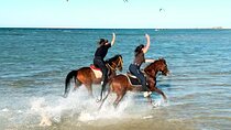 Horse Riding in the desert, Beach & Swimming in the sea-Hurghada