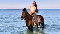 Horse Riding in the desert, Beach & Swimming in the sea-Hurghada