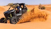 Desert Safari with 30 minutes Buggy Ride with Camel Ride & Dinner