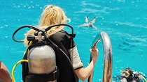 Full Day Intro Diving for Beginners With Lunch - Marsa Alam