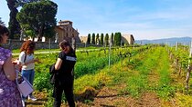 Lake Iseo & Franciacorta Winery. Scenic & Wine Tasting tour