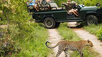 Kruger National Park 3 Day Full Board Safari From Johannesburg