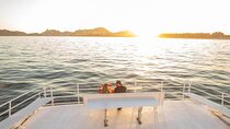 Los Cabos Taco, Margaritas and Sunset Combo Cruise