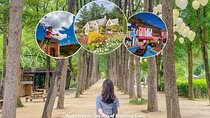 Nami Island& Petite France& Garden of Morning Calm& Italian Village One-Day Tour