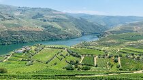 Douro Valley private tour includes wine tasting and boat trip