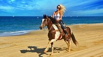 One Hour Horse Riding on the Beach in Sharm El-Sheikh 