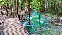 Full Day Krabi Jungle Tour with Hot Spring and Tiger Cave Temple