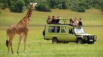 4 Days Masai Mara Mid Range Explorer on 4WD Small Group Tour