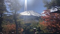 Mount Fuji, Oshino Hakkai and Park Sightseeing Day Tour