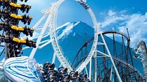 Fuji-Q Highland Amusement Park Private Tour with English Driver