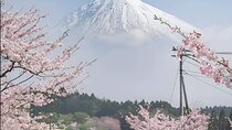 Mt Fuji Private Tour with English speaking driver