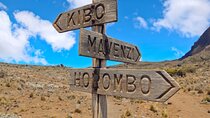 8 Days Mountain Kilimanjaro Lemosho Route