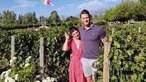 Wineries to Valle de Uco! Semi-private tours