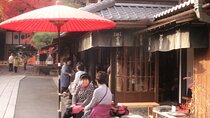Full Day Private Walking Day Tour in Kyoto with Tea