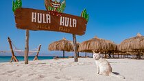 Hula Hula Island Snorkeling Sea Trip and Water Sport - Hurghada