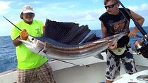 Private Island & Fishing Charters in Key West 37ft Knotty Cowgirl