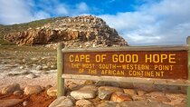 Full-Day Cape Point and Penguins Tour with Ostrich Farm Visit