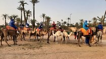  Sunset or Morning Private Camel Ride in Marrakech Palmeraie
