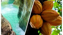 Private Tour Damajagua Waterfalls and Dominican Flavours
