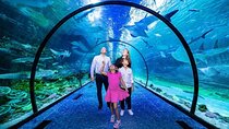 Abu Dhabi National Aquarium Ticket with Optional Transportation