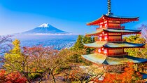 Private Mt. Fuji & Hakone Day Tour – Scenic Views & Hot Springs