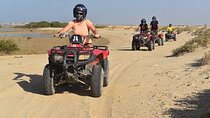 Moto Marine ATV Quad, Spider Car & Snorkeling in Marsa Alam