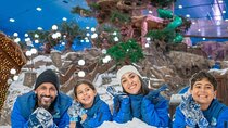Snow Park Abu Dhabi Admission Ticket