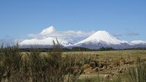 Tongariro National Park Northern Explorer Train and Snowshoeing
