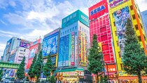 From History to Subculture: Akihabara & Ueno Must-See Tour!