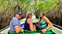 2h Madu River Safari: Mangrove, Cinnamon Island & Buddhist Temple