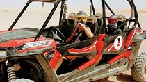 Desert Buggy Ride with Pickup and Guide – From Sharm El Sheikh