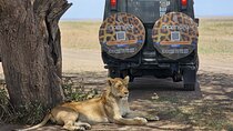 3 days and 2 nights Safari to Serengeti National Park