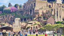 Guided tour of Roman Forum & Palatine Hill