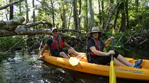 Exclusive Nature Escape Kayak Adventure on Blackwater Creek