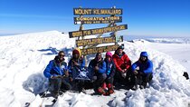 8 Day Mount Kilimanjaro Trekking Lemosho Route