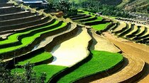Sa Pa Trekking 2 Days 3 Nights Homestay by Night Train