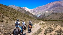 The Real Gaucho Day Trip from Mendoza - Don Daniel Ranch